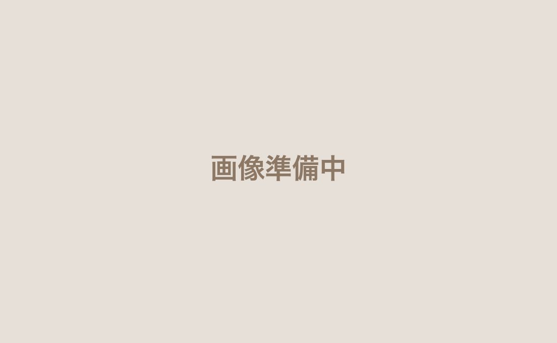各種サロン向けバスタオル（ブラウン）